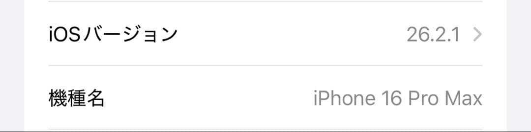 Apple iPhone 16Pro Macキッシーさん専用