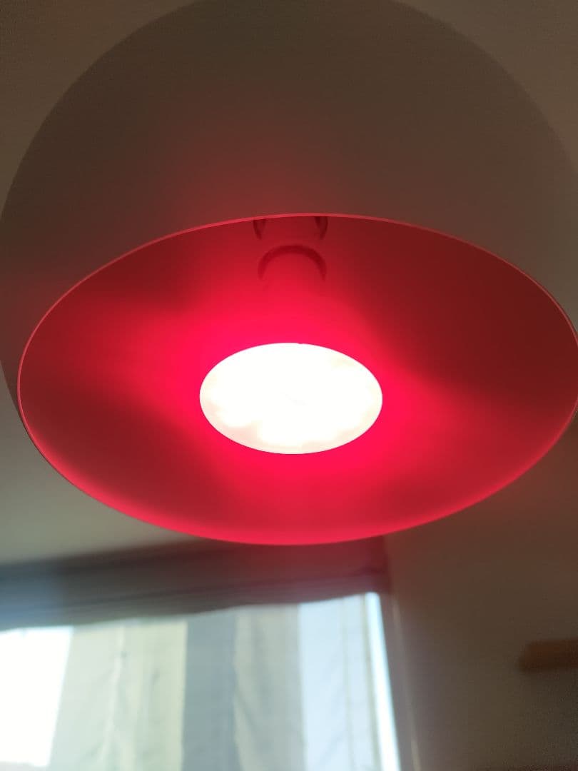 LED照明　明王　ライトセラピー　皮膚　髪　セット