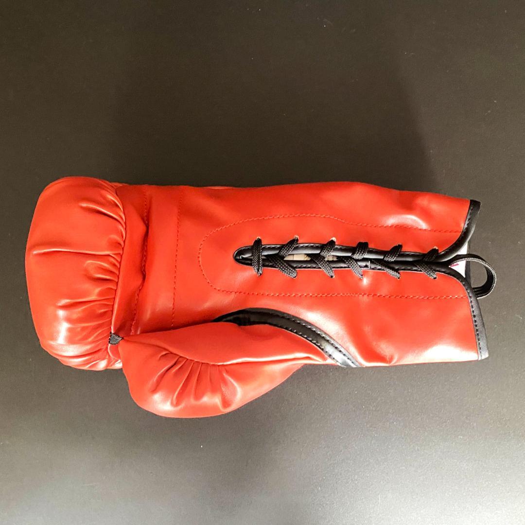 【レア】フロイド・メイウェザー・ジュニア★直筆サイン入りグローブ