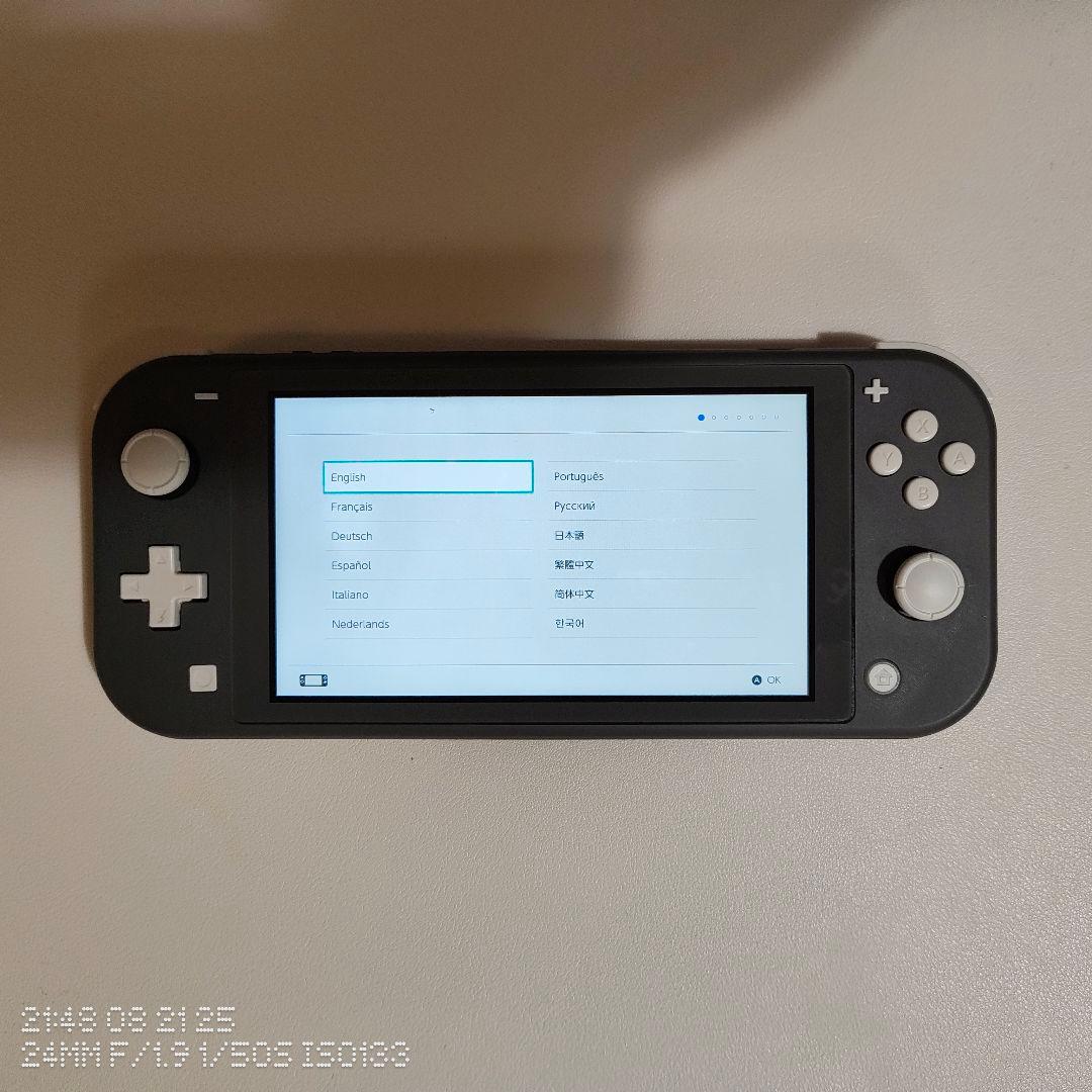 Nintendo Switch Lite グレー 本体 箱あり