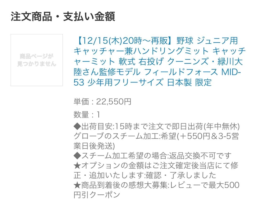 フィールドフォース キャッチャーミット 緑川ミット