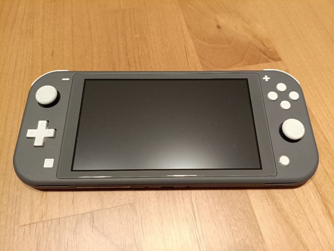Nintendo Switch Lite グレー　ケース付き
