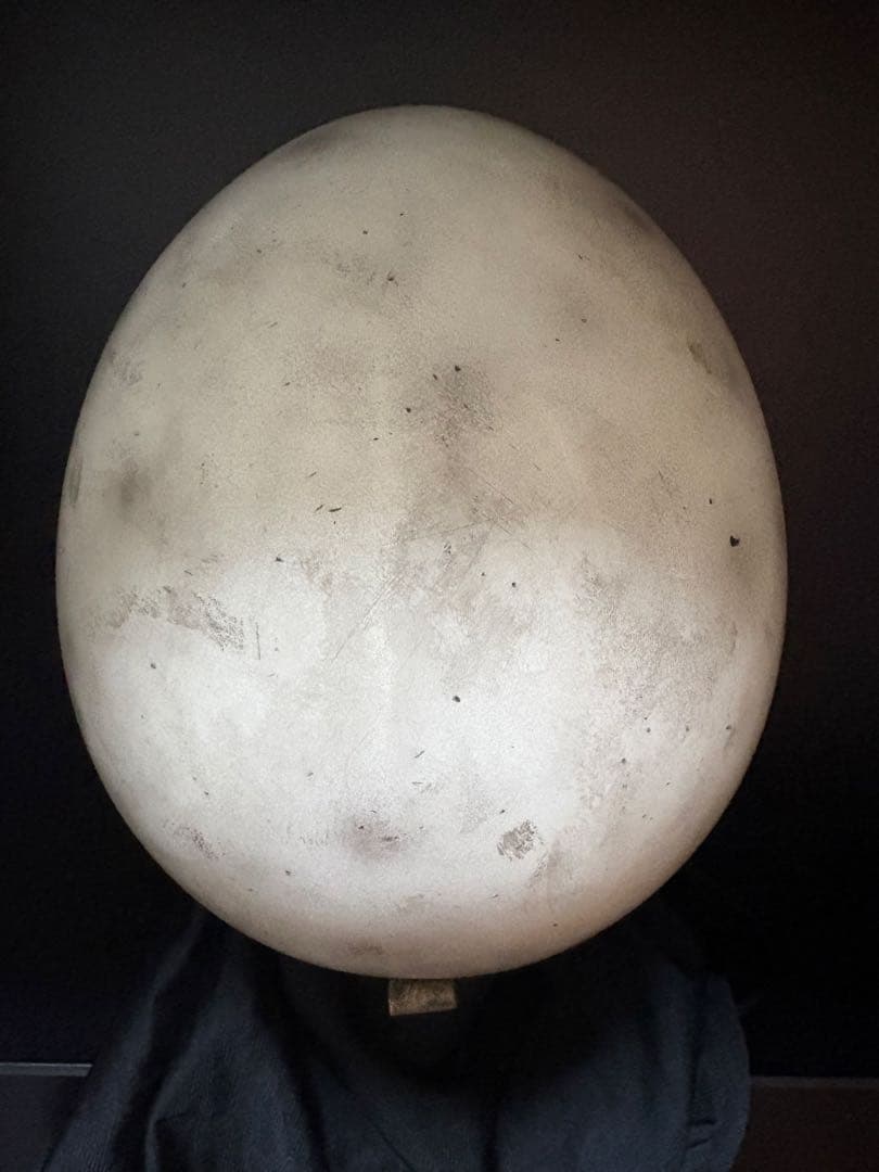 NOBUDZ HELMET オーシャンビートルPTR Ｓor Ｌ