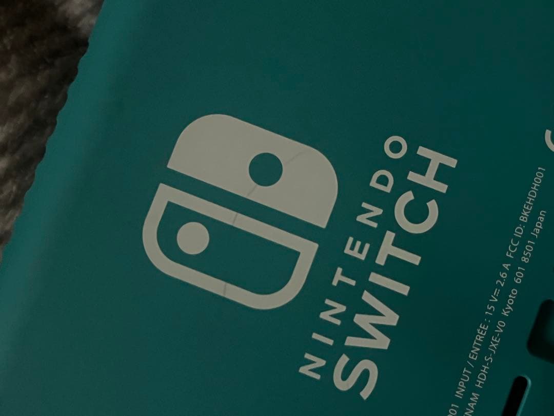 m*o様 正常動作品 ニンテンドースイッチライト ターコイズ 本体のみ