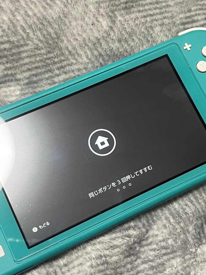 m*o様 正常動作品 ニンテンドースイッチライト ターコイズ 本体のみ
