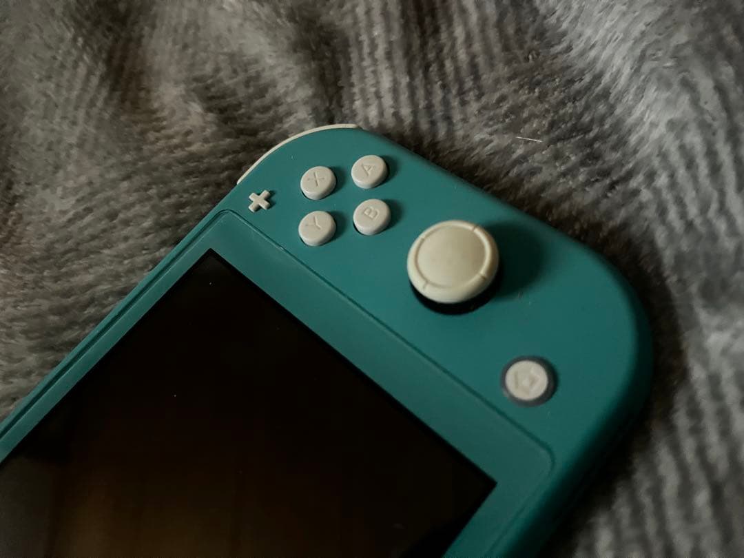 m*o様 正常動作品 ニンテンドースイッチライト ターコイズ 本体のみ