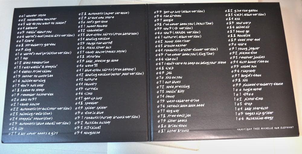 【LP】ミッシェルガンエレファント　TMGE106 アナログ盤12インチレコード