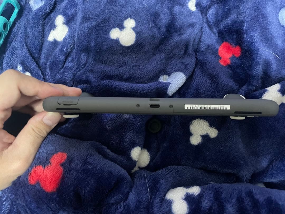 d*7様 Nintendo Switch Lite グレー 割れ液漏れあり(ジャ