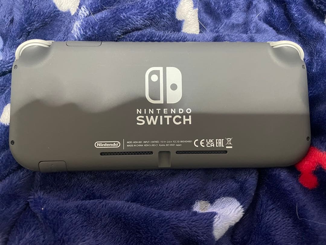 d*7様 Nintendo Switch Lite グレー 割れ液漏れあり(ジャ