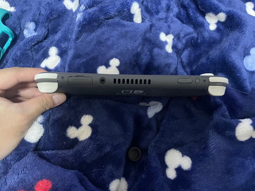 d*7様 Nintendo Switch Lite グレー 割れ液漏れあり(ジャ