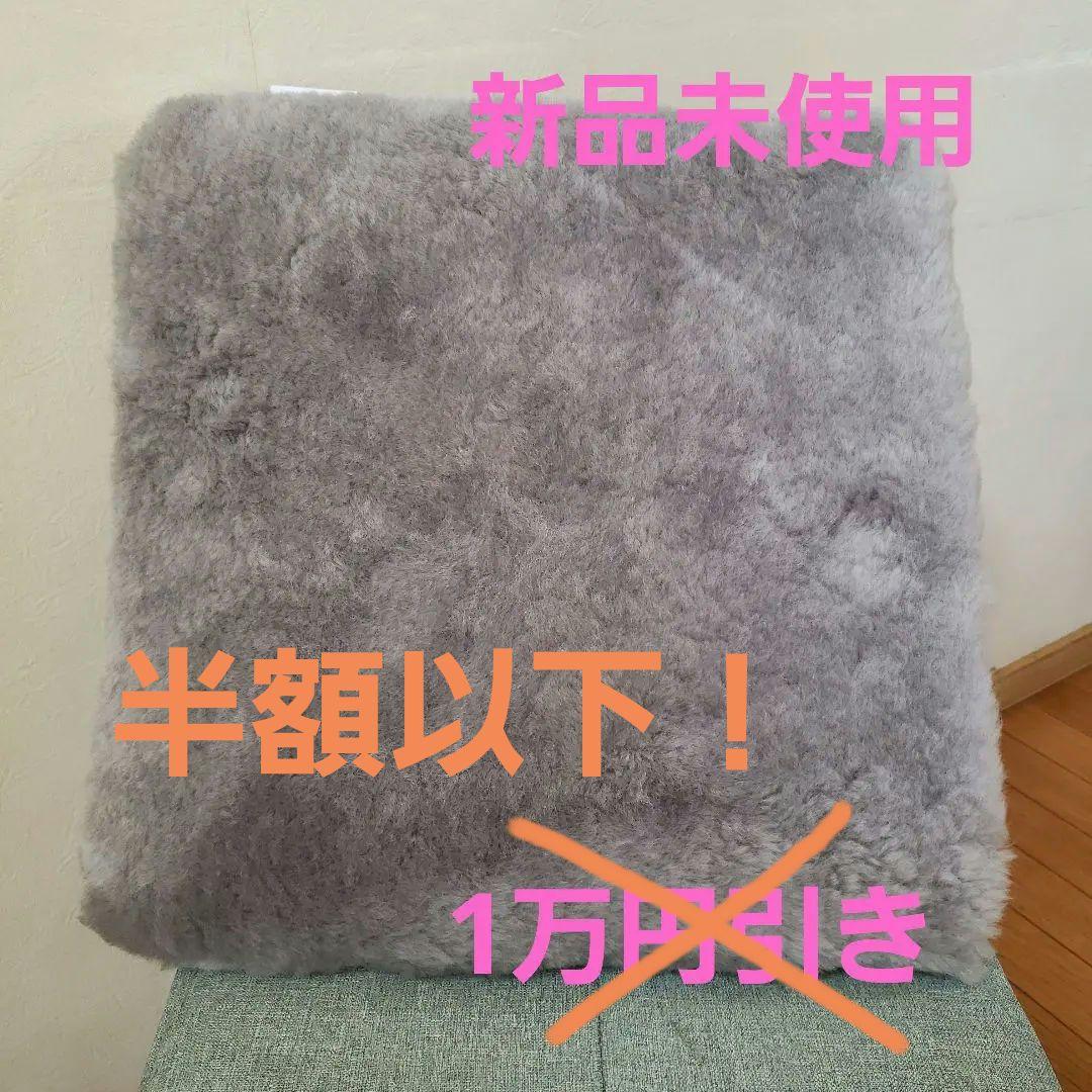 【高品質】ブレスラムクッション　2枚セット