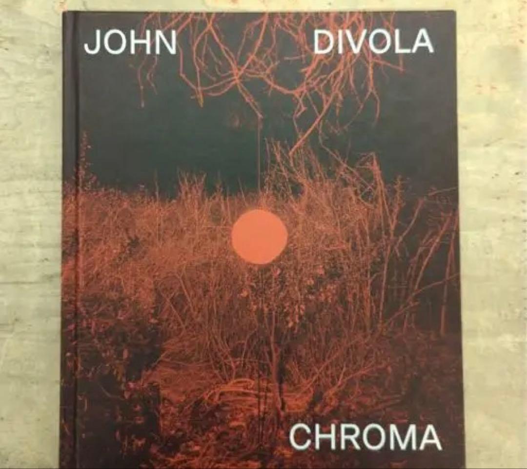 アート・デザイン・音楽 JOHN DIVOLA CHROMA