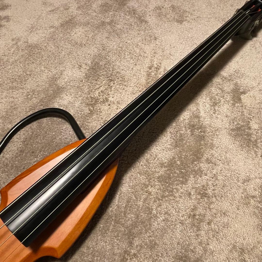 Aria SWB-02 Fishman ピックアップ搭載 ケース付き