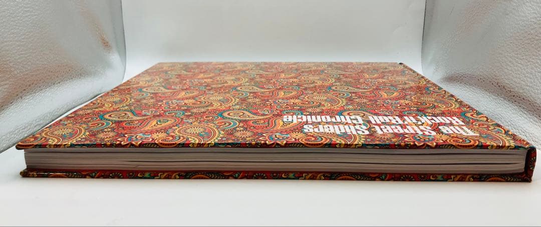 ストリートスライダーズ Rock’n’ Roll Chronicle