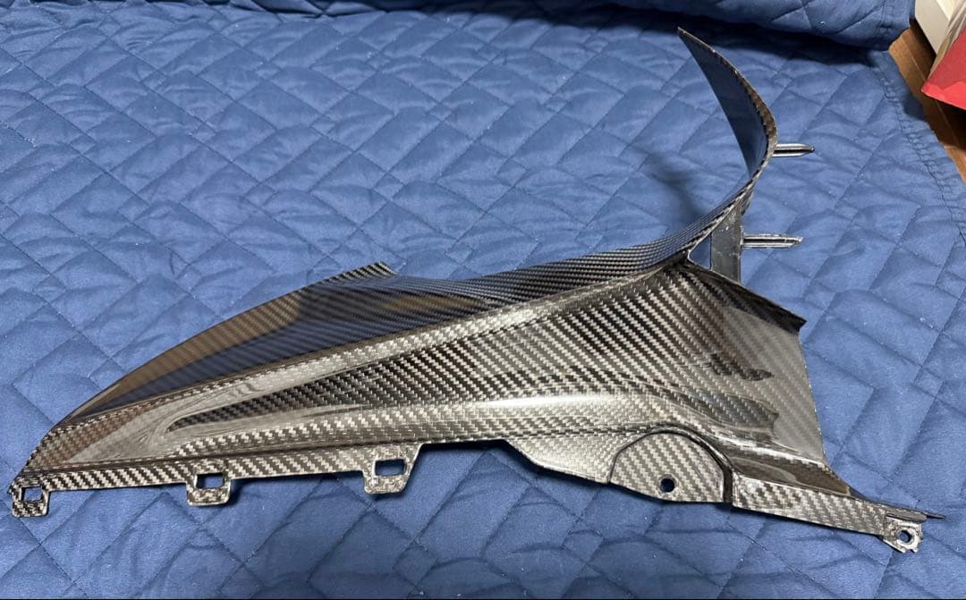 S1000RR（K67）スピードラ フェアリングサイドカバー ドライカーボン