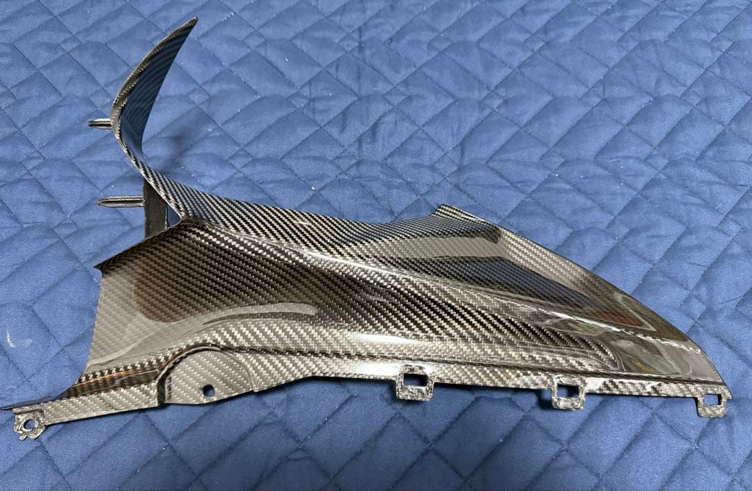 S1000RR（K67）スピードラ フェアリングサイドカバー ドライカーボン