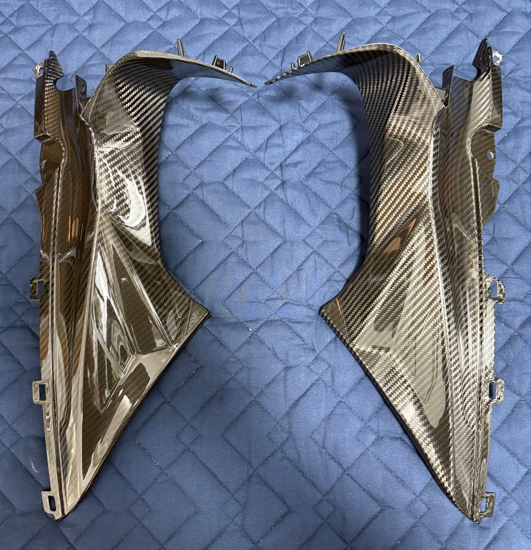 S1000RR（K67）スピードラ フェアリングサイドカバー ドライカーボン
