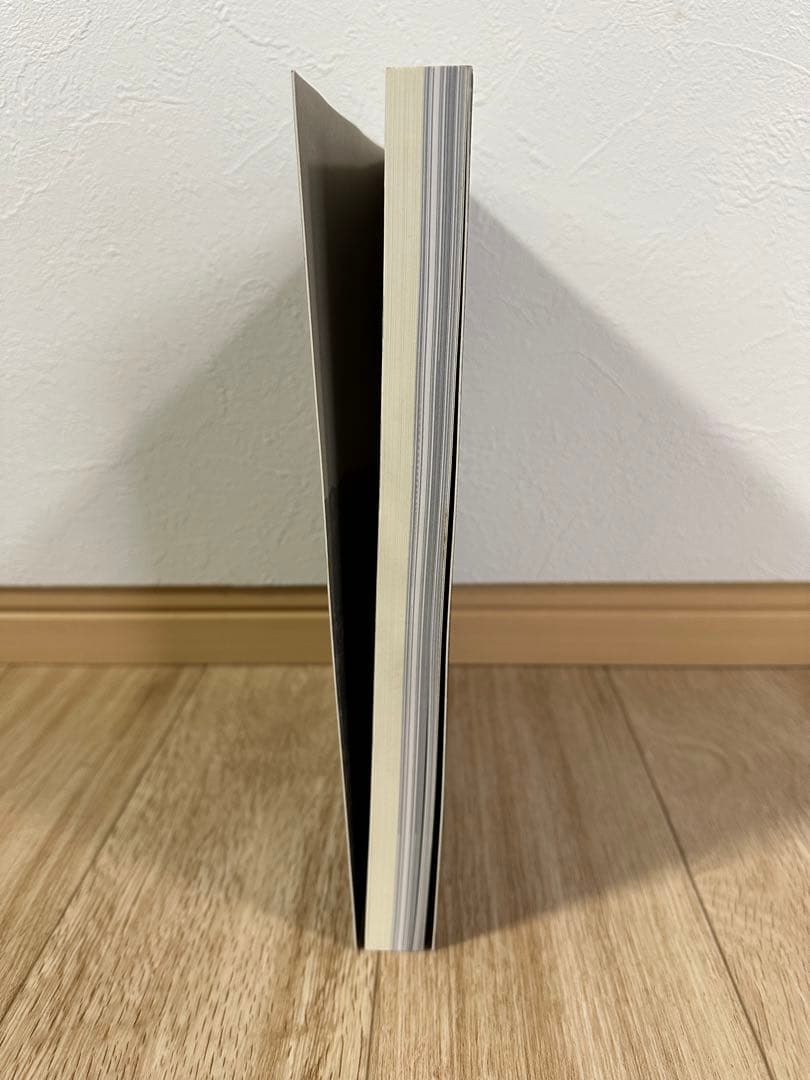 希少　1点のみ　特別展 信樂 －壺中の天 1999 MIHO MUSEUM