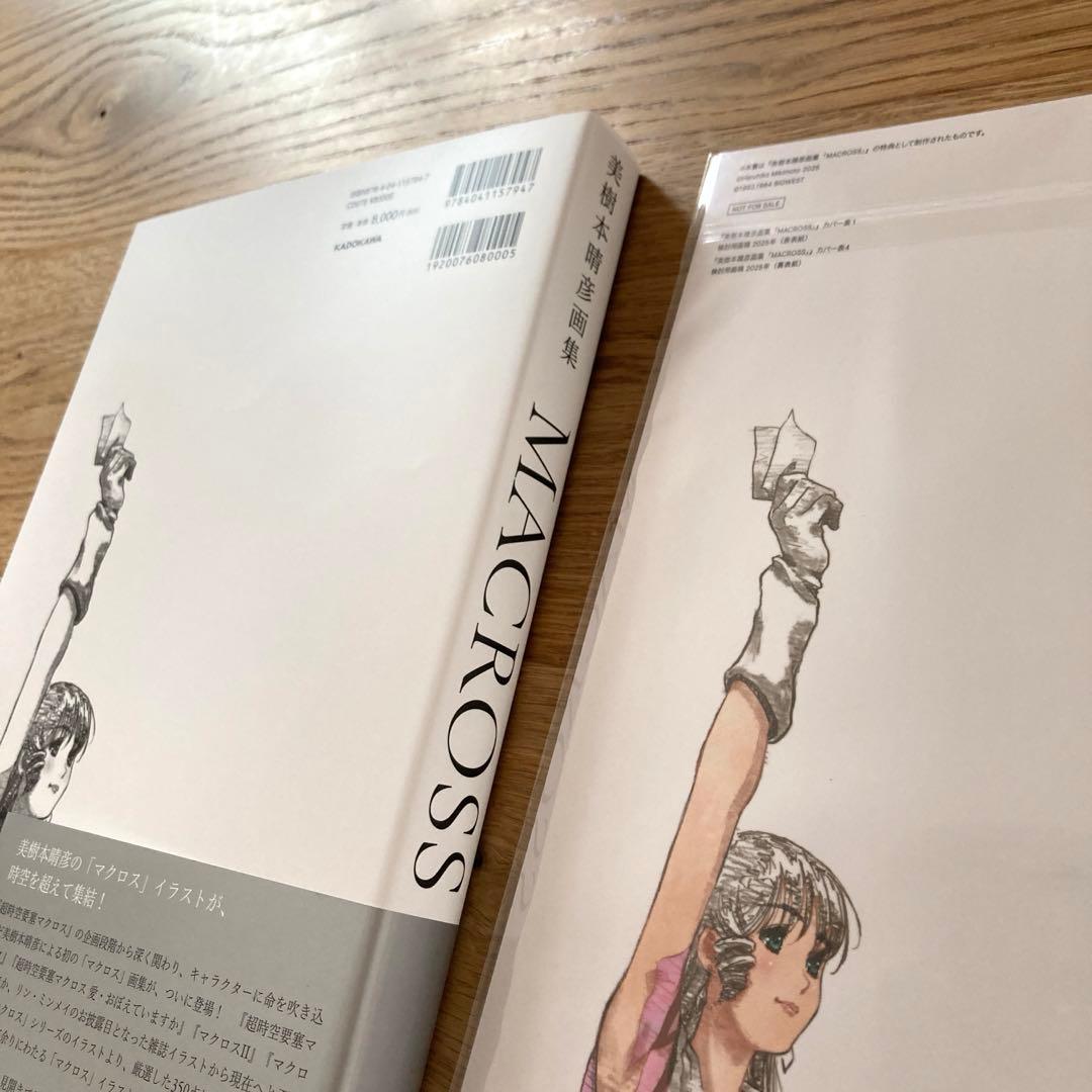 【残り僅か新品】美樹本晴彦　画集　マクロス　特典冊子付き　リンミンメイ　飯島真理