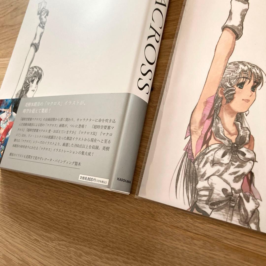 【残り僅か新品】美樹本晴彦　画集　マクロス　特典冊子付き　リンミンメイ　飯島真理
