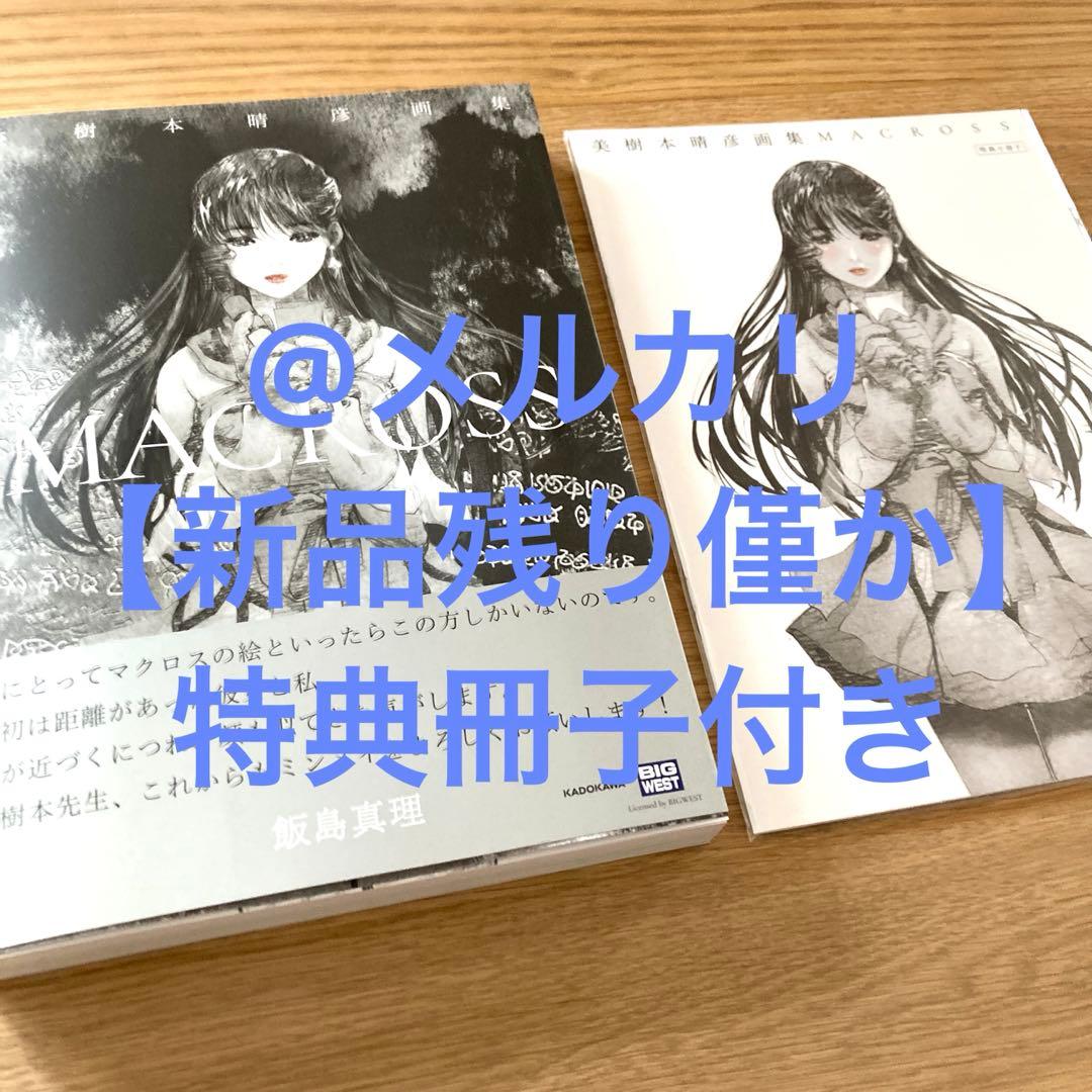 【残り僅か新品】美樹本晴彦　画集　マクロス　特典冊子付き　リンミンメイ　飯島真理