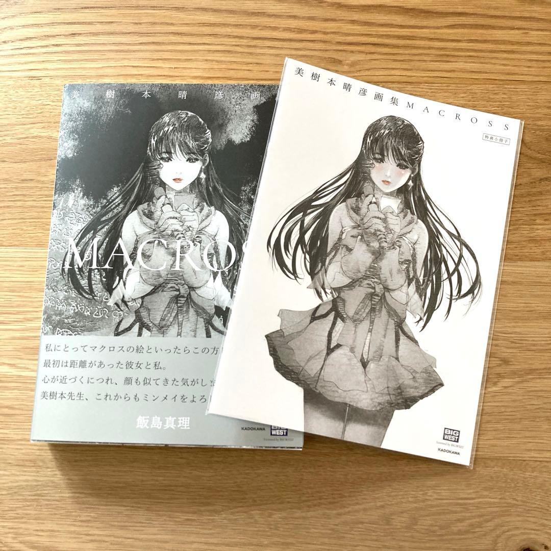 【残り僅か新品】美樹本晴彦　画集　マクロス　特典冊子付き　リンミンメイ　飯島真理