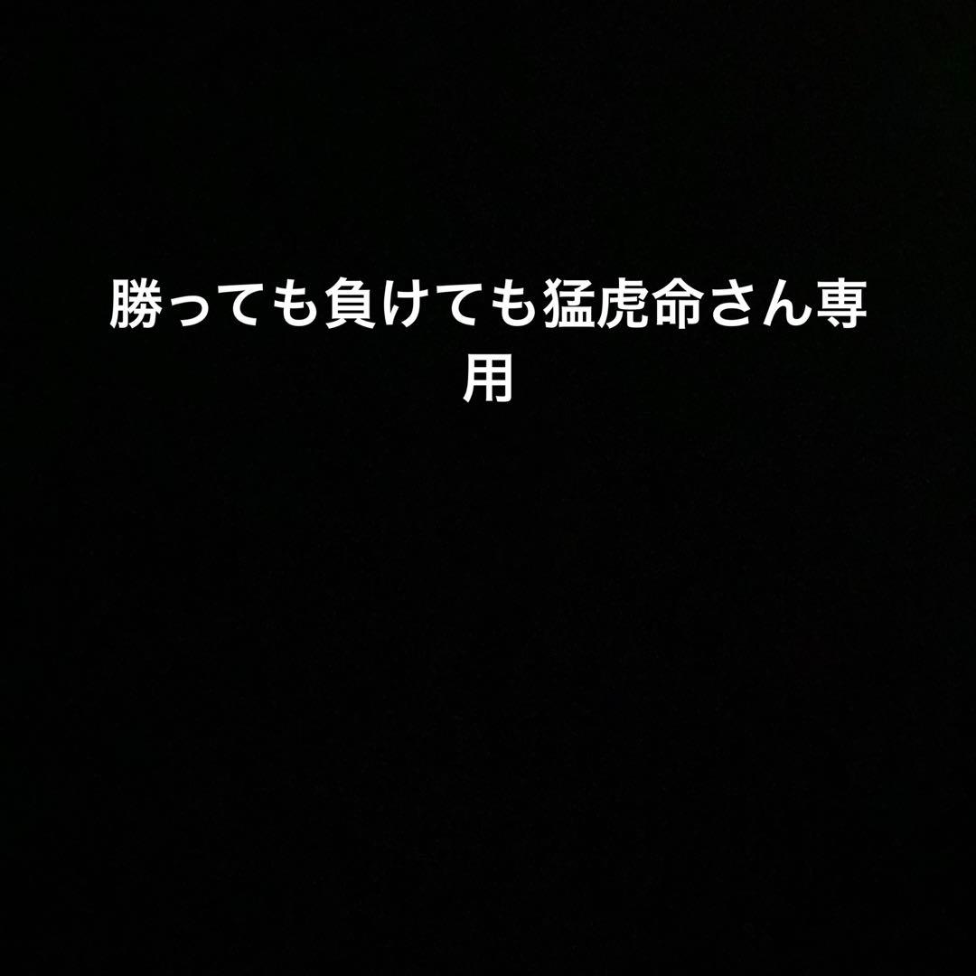 勝っても負けても猛虎命さん専用