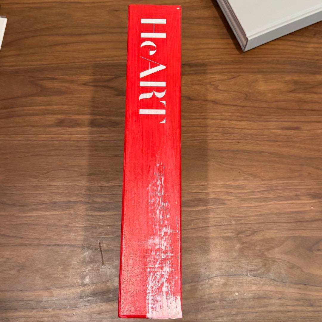 John Frusciante HeART (Kiuchi Kentaro著)