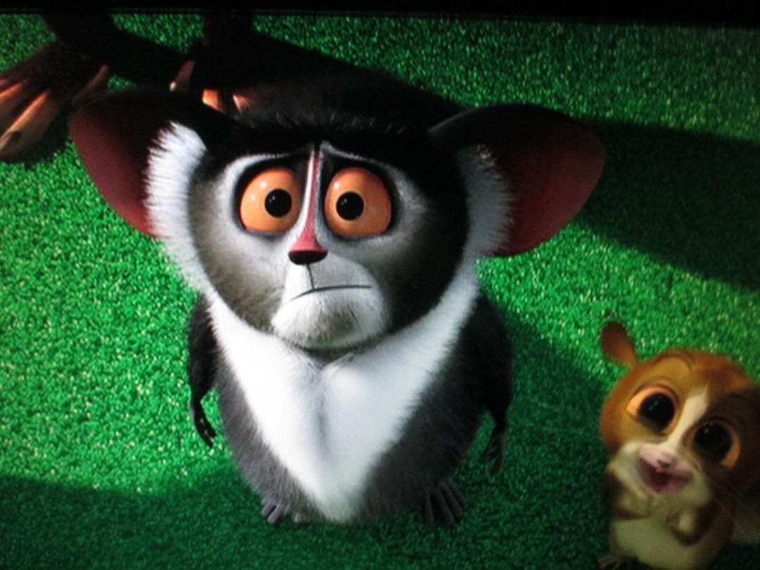 2014年製☆シャープ 2番組同時録画 ブルーレイレコーダー BD-W560