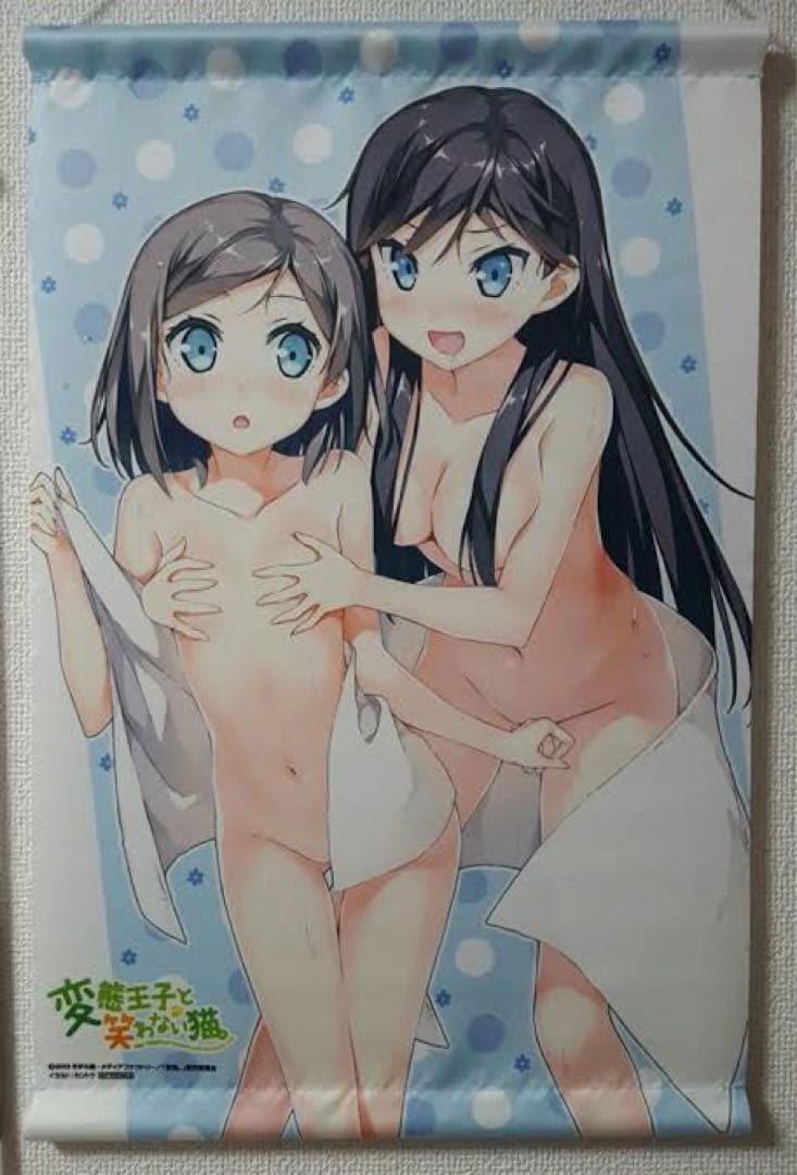 カントク 変態王子と笑わない猫。Blu-ray全巻c84特典グッズタペストリー