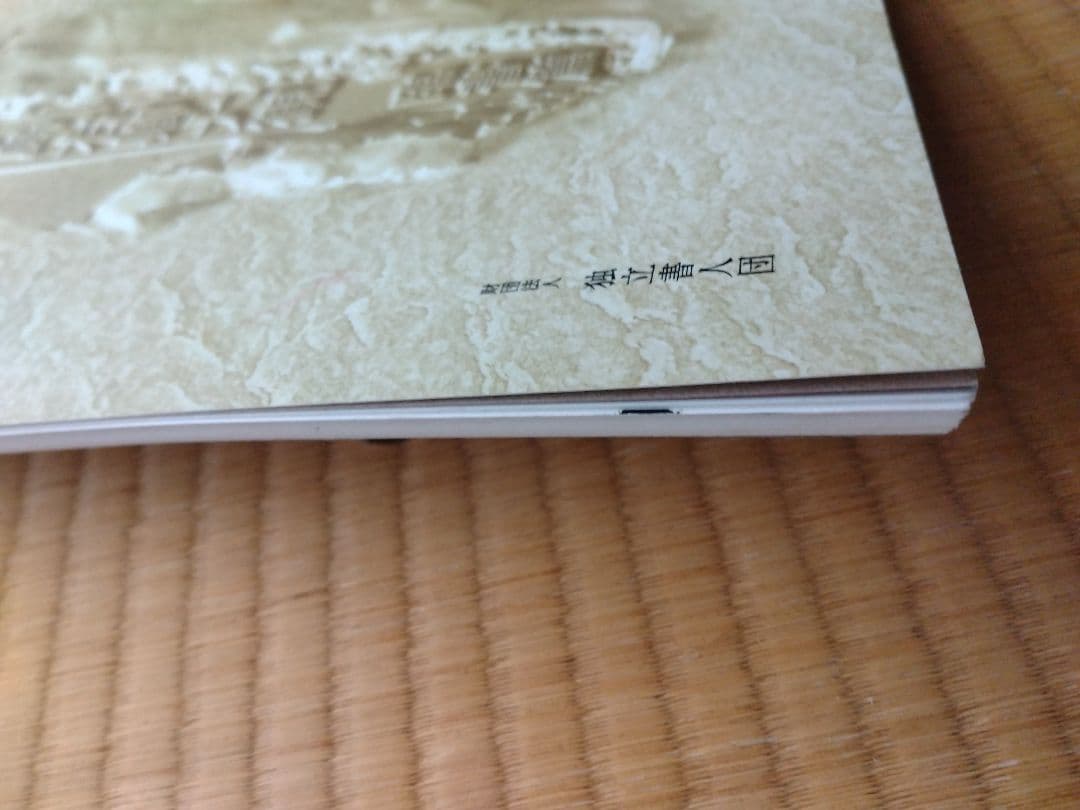 「手島右卿大観 臨書篇 」第一期・第二期・第三期　計30冊　独立書人団
