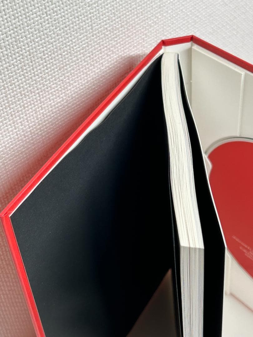 米津玄師 YANKEE (初回限定盤)(画集盤)