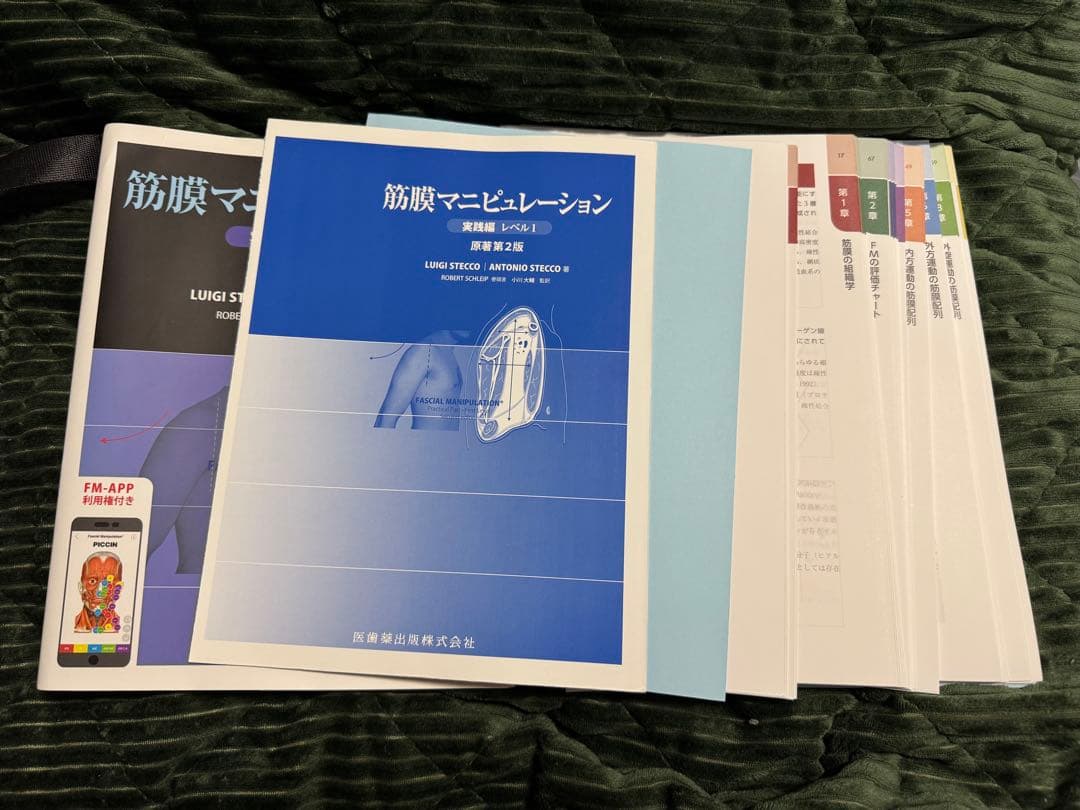 筋膜マニピュレーション 実践編 レベル1 原著第2版（裁断済み）