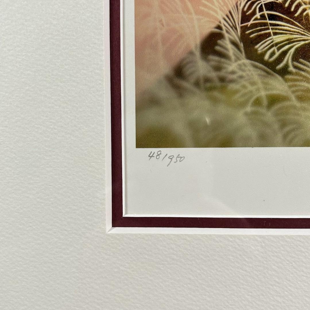 美品 藤城清治「夕日の思い出」レフグラフ 直筆サイン入 証明シール有 お洒落額装