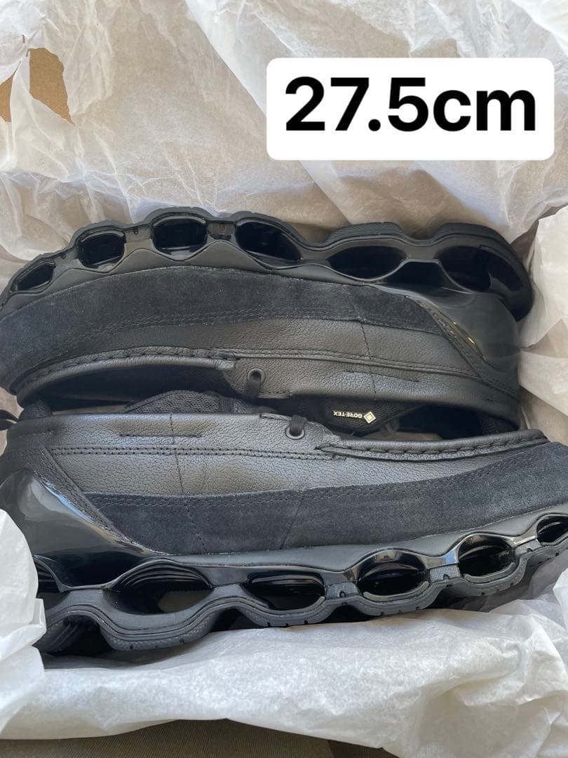 靴 Mizuno Wave Prophecy Moc GORE-TEX \