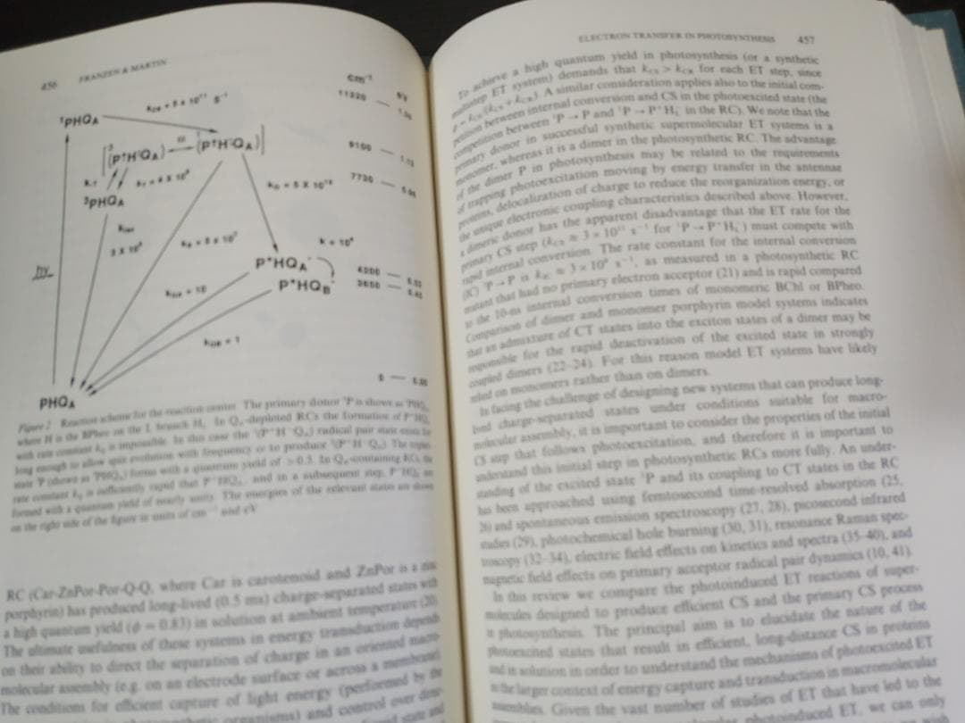ANNU REV PHYS CHEM v46 1995 物理化学年次学術雑誌