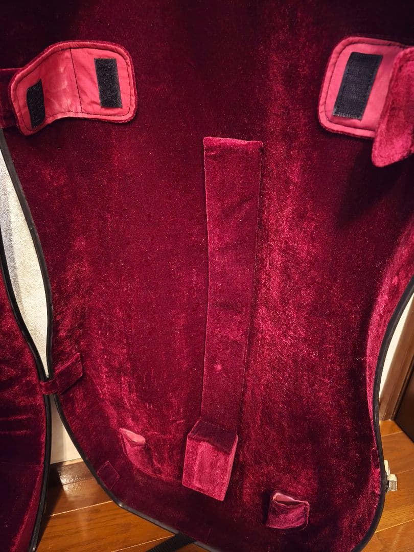 チェロ　ハードケース　Andreas Eastman　中古