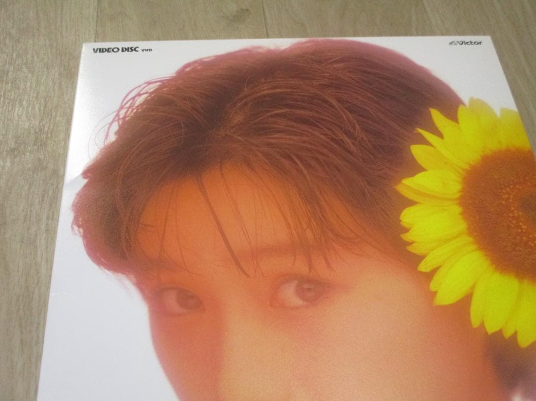 酒井法子 活躍少女 YUPPIE 2