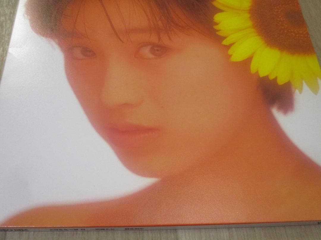 酒井法子 活躍少女 YUPPIE 2