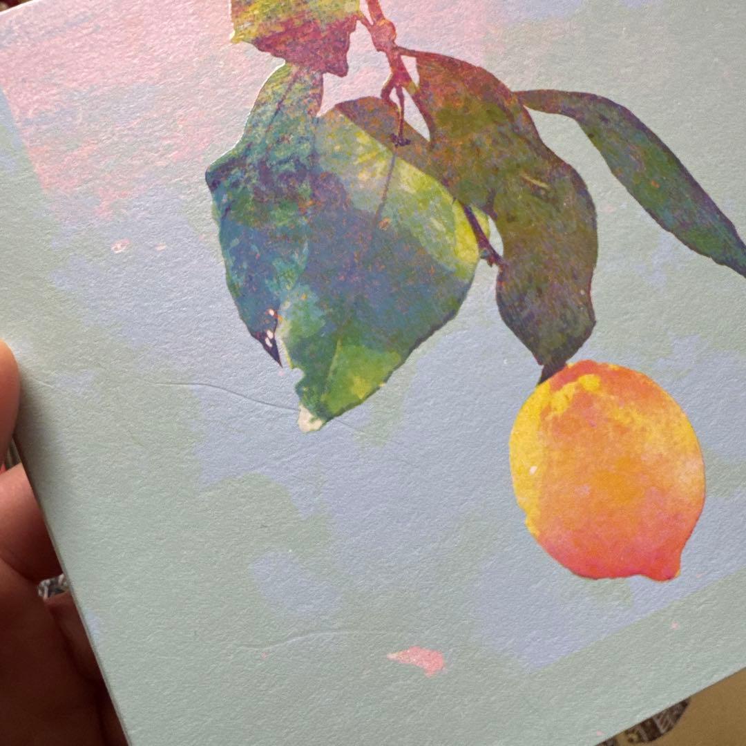 米津玄師 ハチ セット