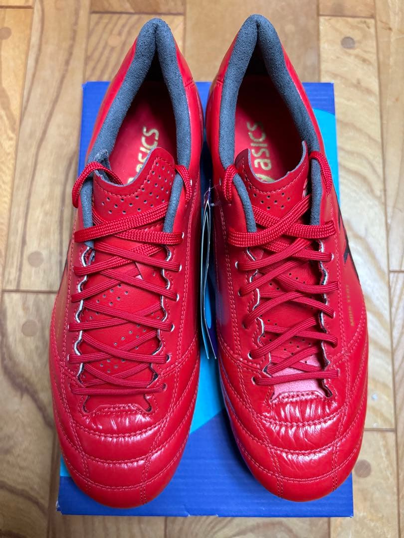 新品　激レア　廃盤　限定カラー　アシックス　DSライト X-FLY 4 25cm