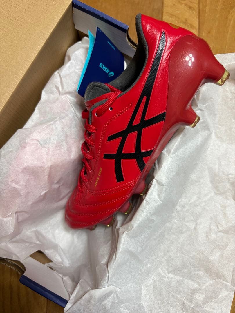 新品　激レア　廃盤　限定カラー　アシックス　DSライト X-FLY 4 25cm