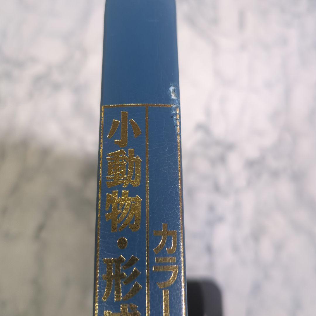 カラーアトラス 小動物形成・再建外科学