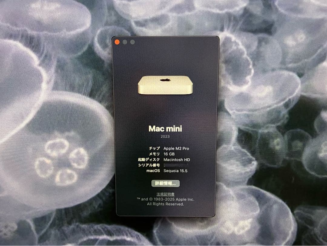 【美品】Mac mini - M2 Pro 16 GB / 512 GB 完備品