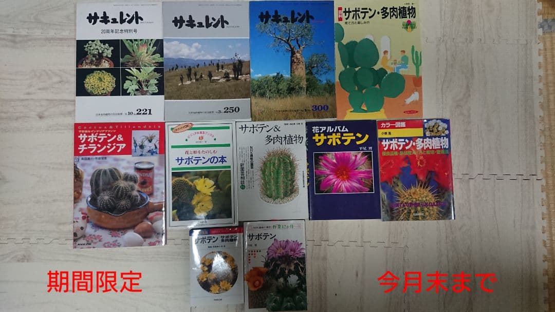 多肉植物 サボテン 本 11冊セット