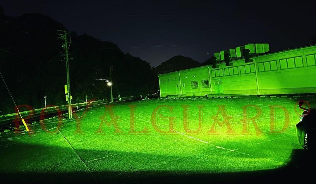 爆光　 ロイヤルガード ライムグリーン LEDフォグ H8 H11 H16