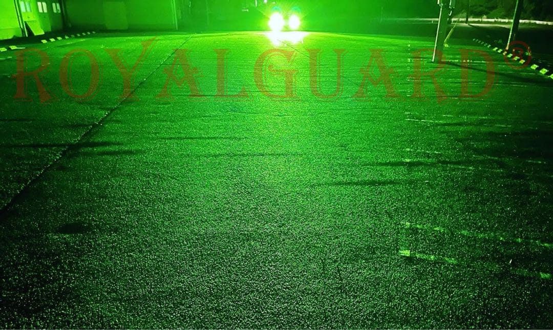 爆光　 ロイヤルガード ライムグリーン LEDフォグ H8 H11 H16