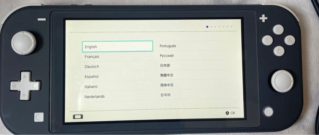 Nintendo Switch Lite グレー 本体 箱無