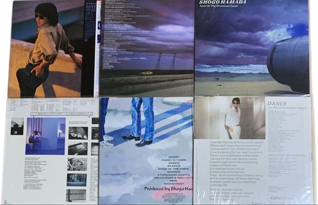 浜田省吾⭐️アナログ盤・LPレコード【愛奴含む20枚セット】送料込み/まとめ売り