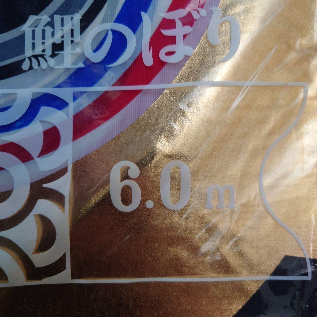 フジサワ黄金鯉6m　（吹き流し、鯉のみ）